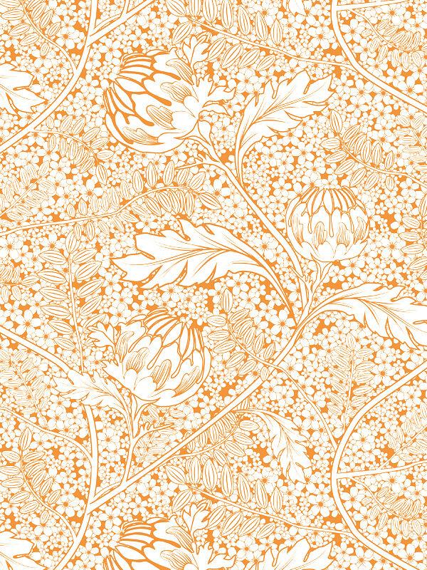 salondesfleurs-vloeipapier-orange